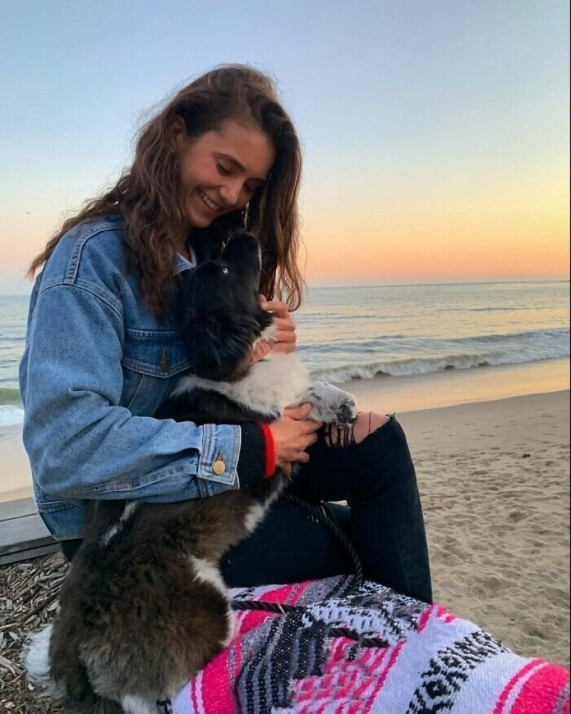 30 photos of celebrities with dogs 30 photos of celebrities with dogs