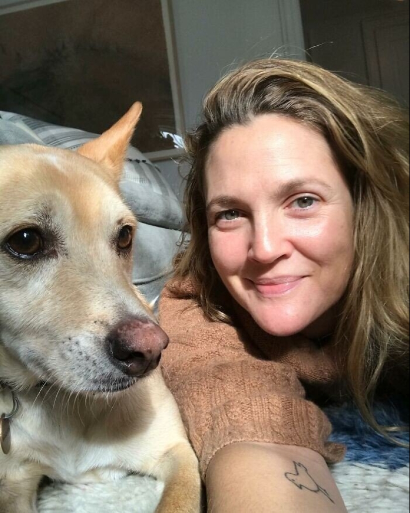 30 photos of celebrities with dogs 30 photos of celebrities with dogs