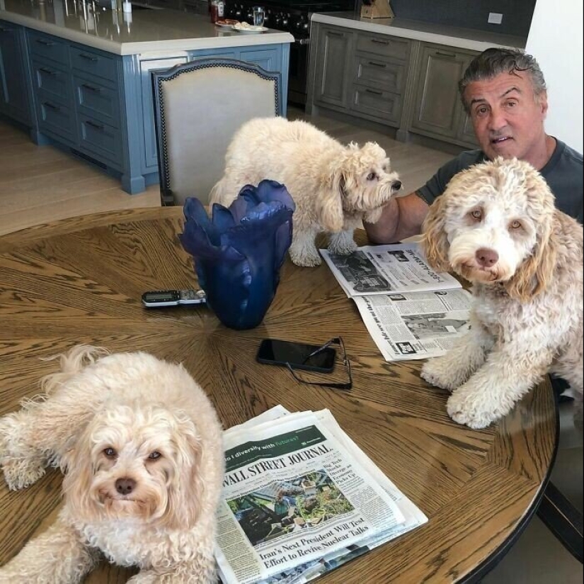 30 photos of celebrities with dogs 30 photos of celebrities with dogs