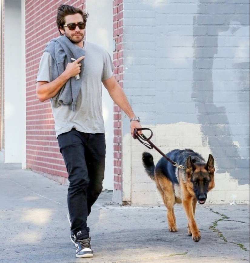 30 photos of celebrities with dogs 30 photos of celebrities with dogs