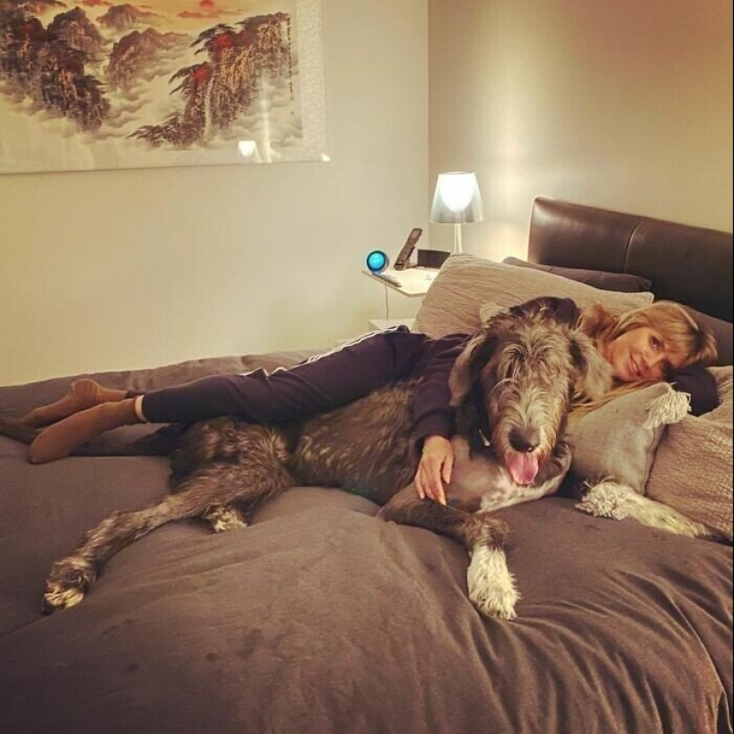30 photos of celebrities with dogs 30 photos of celebrities with dogs