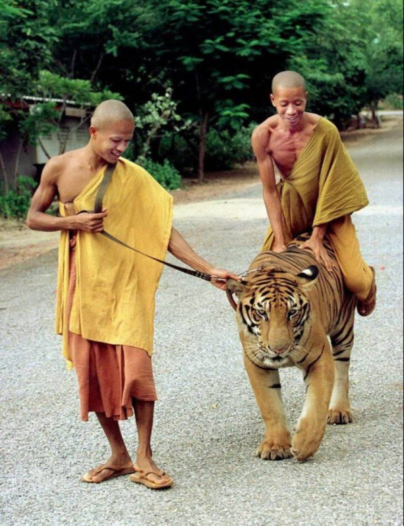 30 photos proving that Asia — another planet 30 photos proving that Asia — another planet