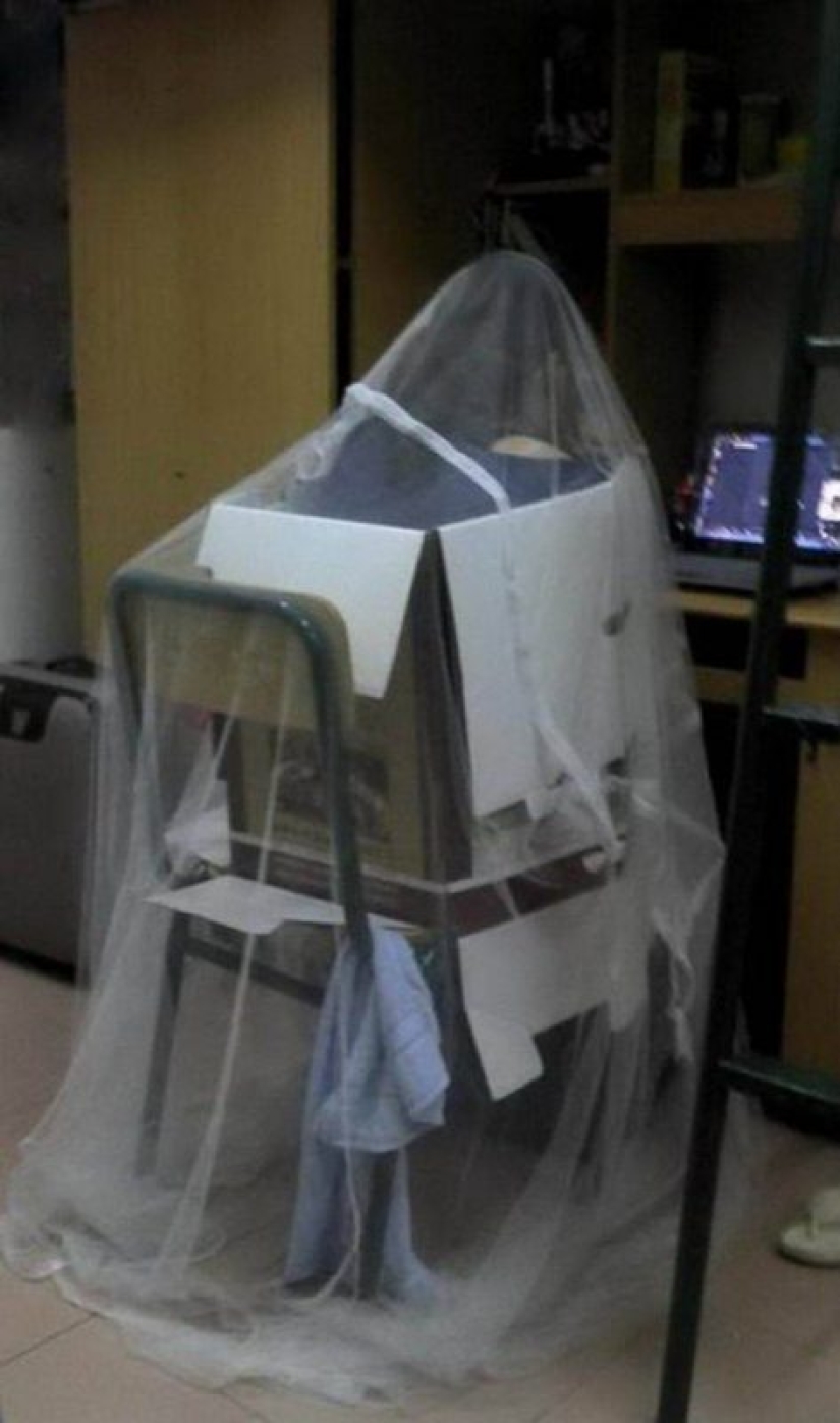 30 photos proving that Asia — another planet 30 photos proving that Asia — another planet