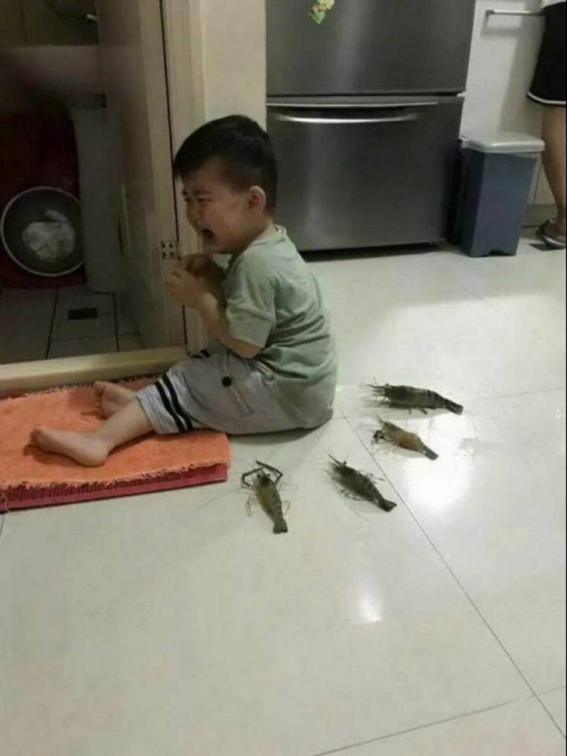 30 photos proving that Asia — another planet 30 photos proving that Asia — another planet