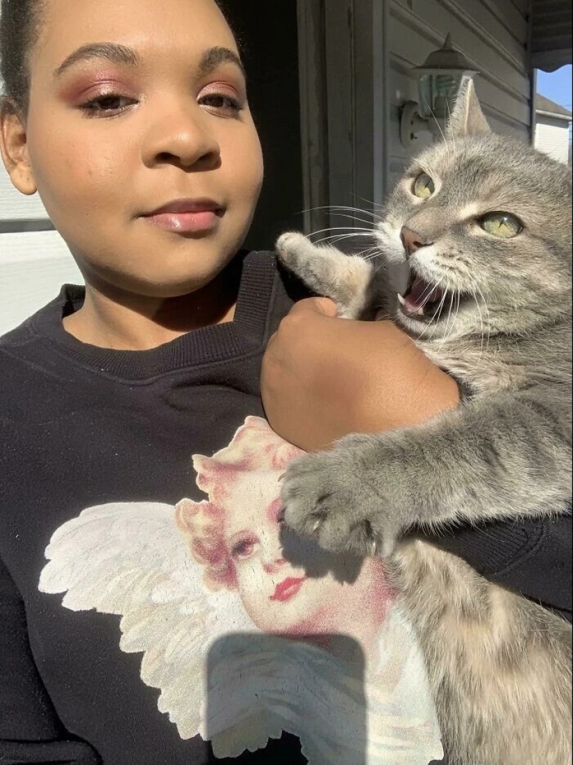 30 photos with kittens, when you look at them, you can hear a loud " Meow» 30 photos with kittens, when you look at them, you can hear a loud " Meow»