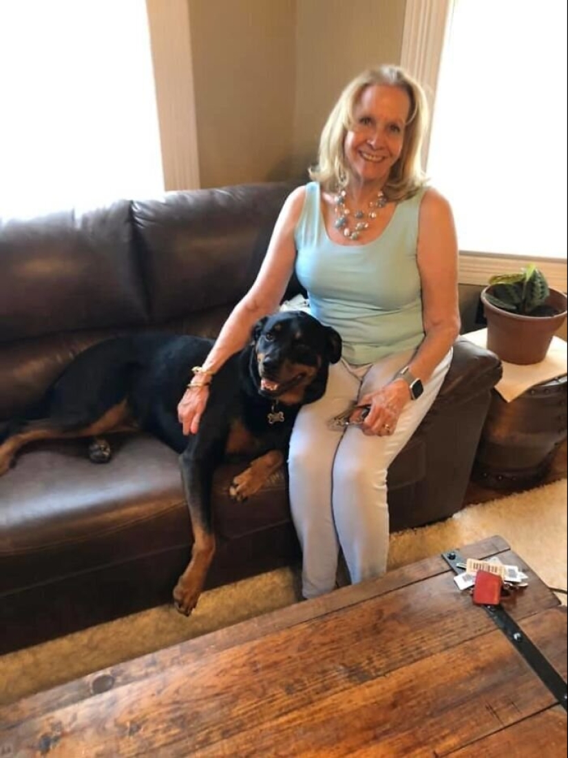 30 "purebred" dogs that really surprised their owners when they grew up 30 "purebred" dogs that really surprised their owners when they grew up