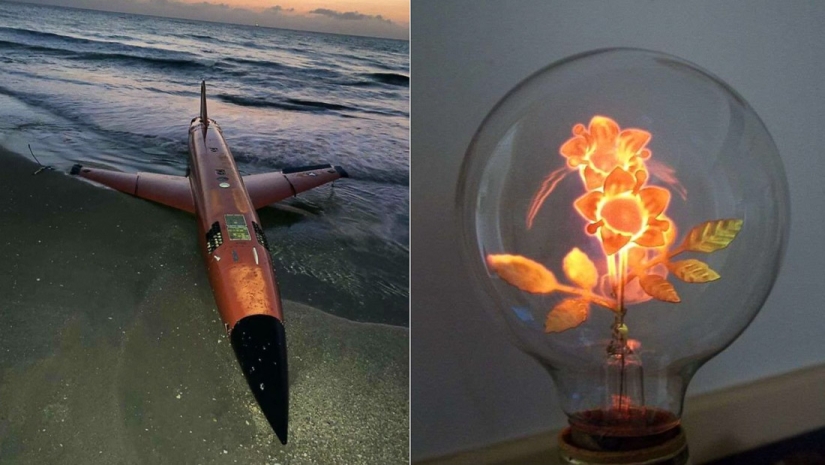 30 rare things that people accidentally found and were completely delighted with 30 rare things that people accidentally found and were completely delighted with