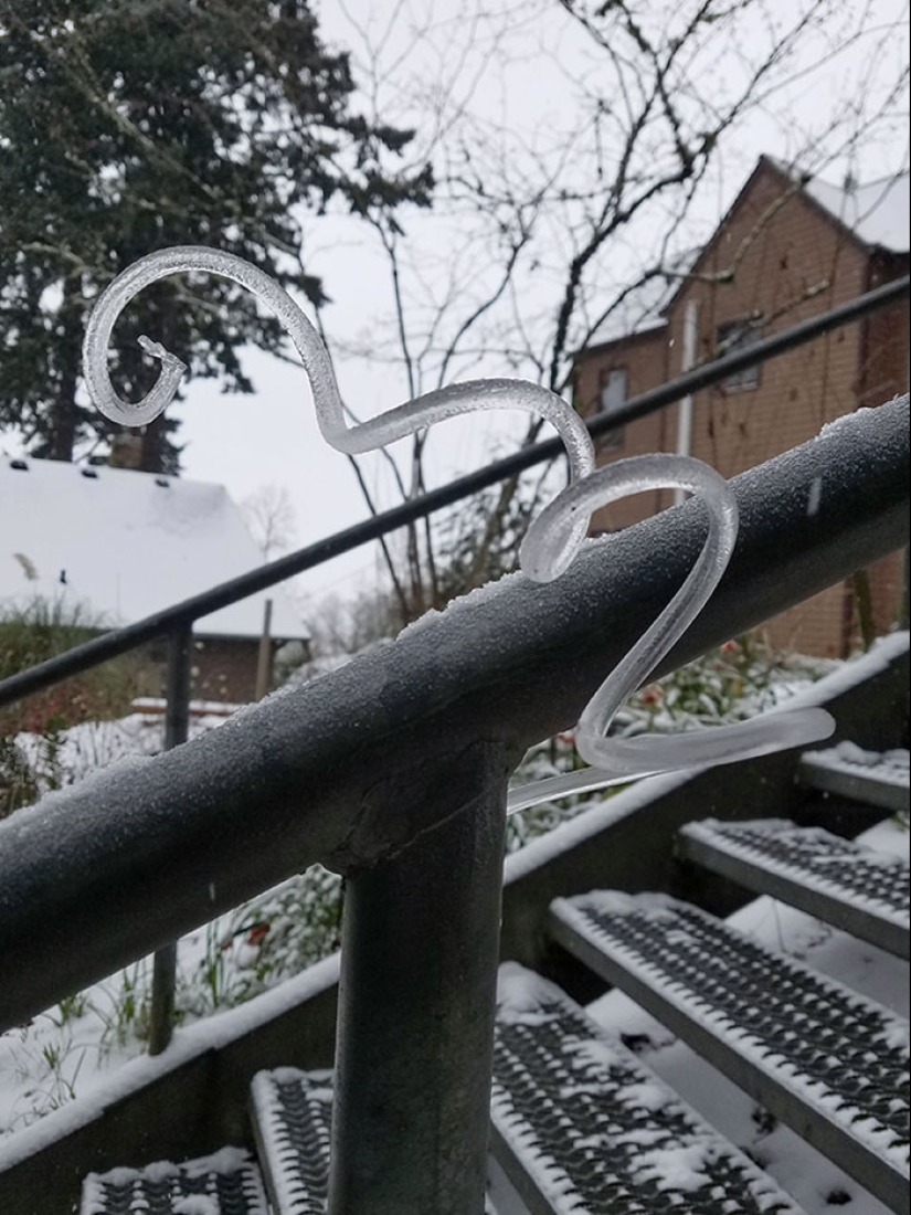 30 rare things that people accidentally found and were completely delighted with 30 rare things that people accidentally found and were completely delighted with