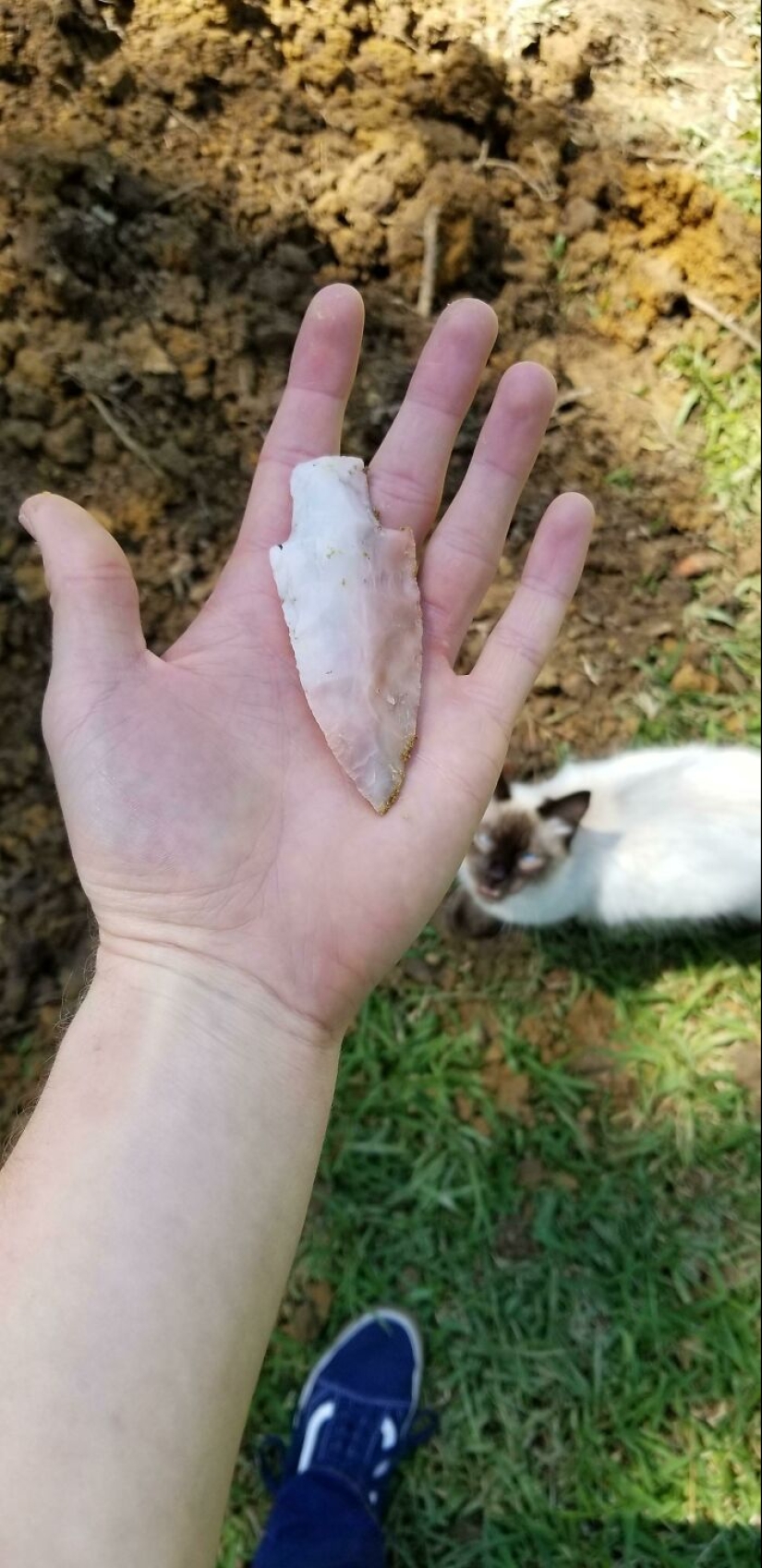 30 rare things that people accidentally found and were completely delighted with 30 rare things that people accidentally found and were completely delighted with