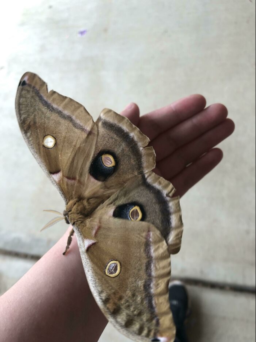 30 rare things that people accidentally found and were completely delighted with 30 rare things that people accidentally found and were completely delighted with