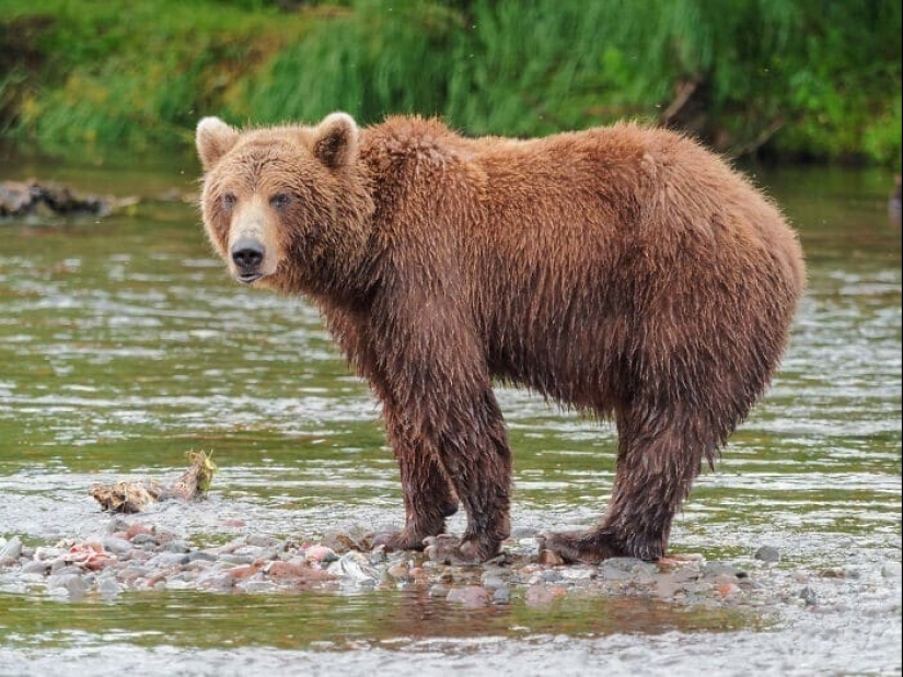 30 strange laws from all over the world that sound like fiction, but really exist 30 strange laws from all over the world that sound like fiction, but really exist