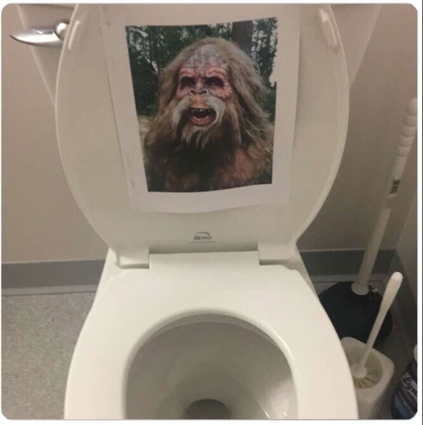 30 strange things that girls found in men's bathrooms and toilets 30 strange things that girls found in men's bathrooms and toilets