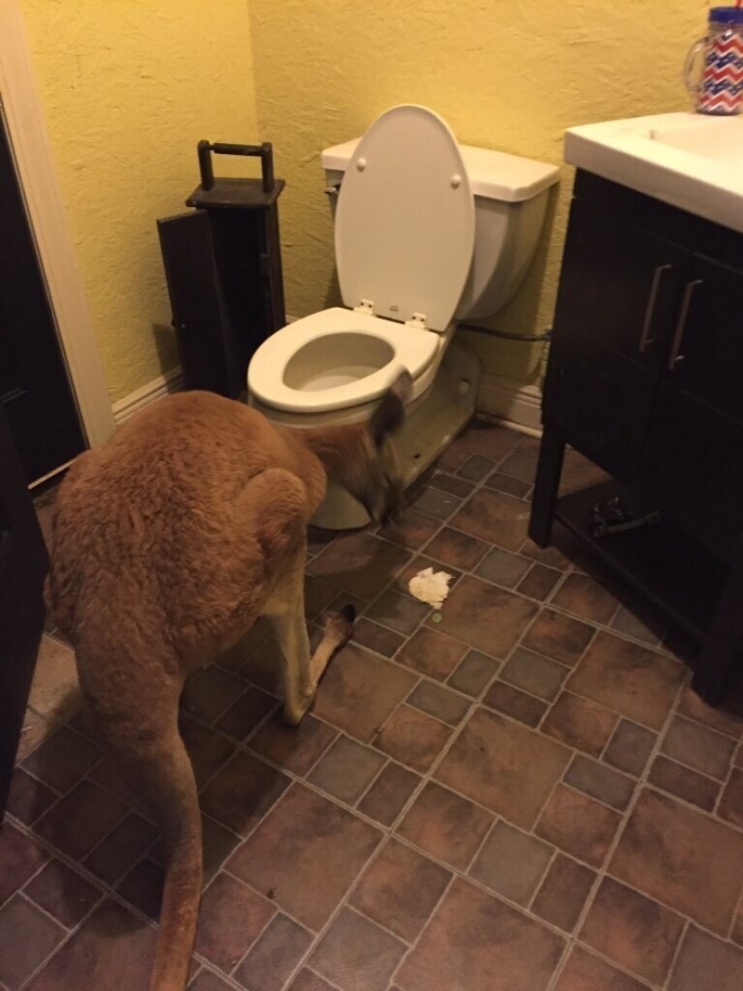 30 strange things that girls found in men's bathrooms and toilets 30 strange things that girls found in men's bathrooms and toilets