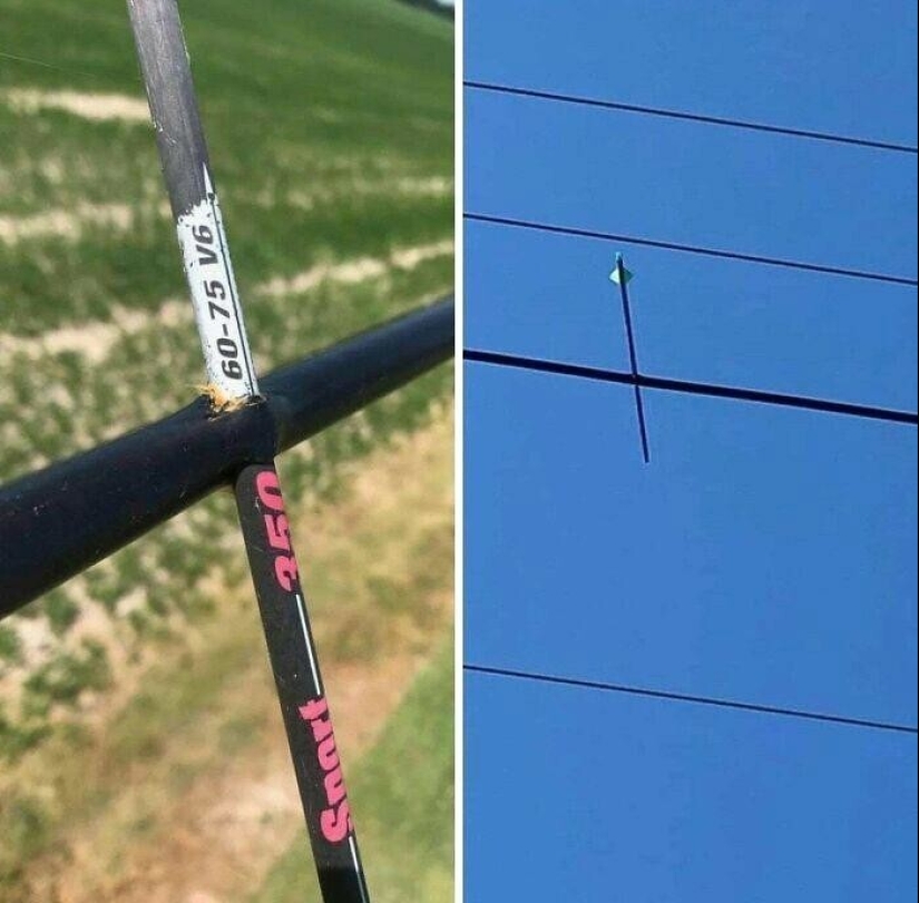 30 the nightmare cases shared staff support