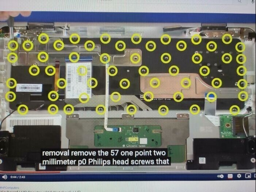 30 the nightmare cases shared staff support