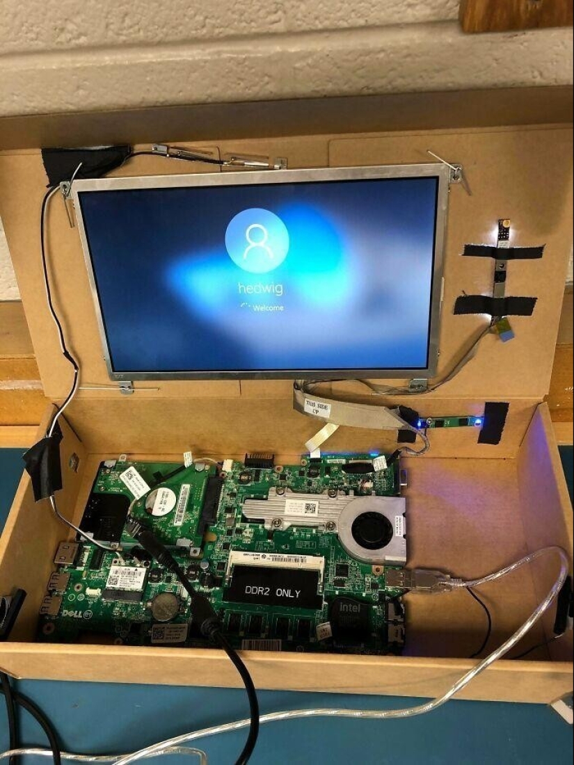 30 the nightmare cases shared staff support