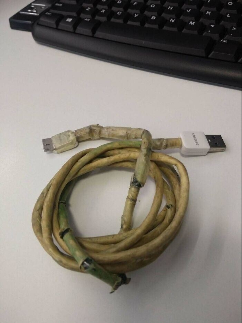 30 the nightmare cases shared staff support