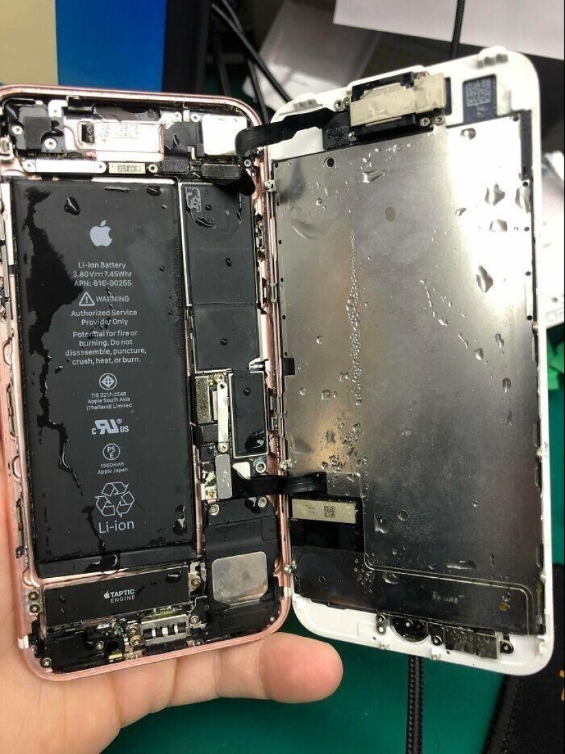 30 the nightmare cases shared staff support