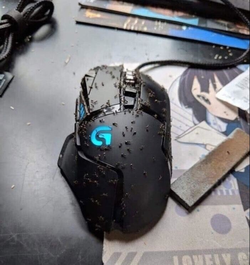 30 the nightmare cases shared staff support