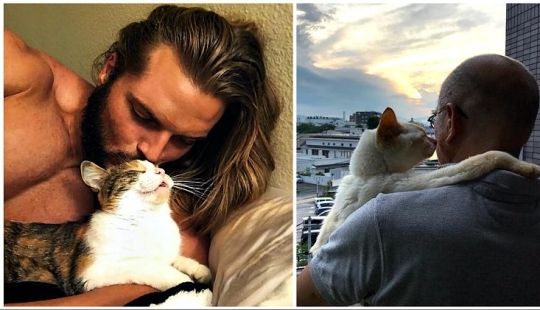 30 touching photos of men and cats 30 touching photos of men and cats