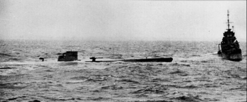 30 unexpected facts that will amaze you to the core 30 unexpected facts that will amaze you to the core