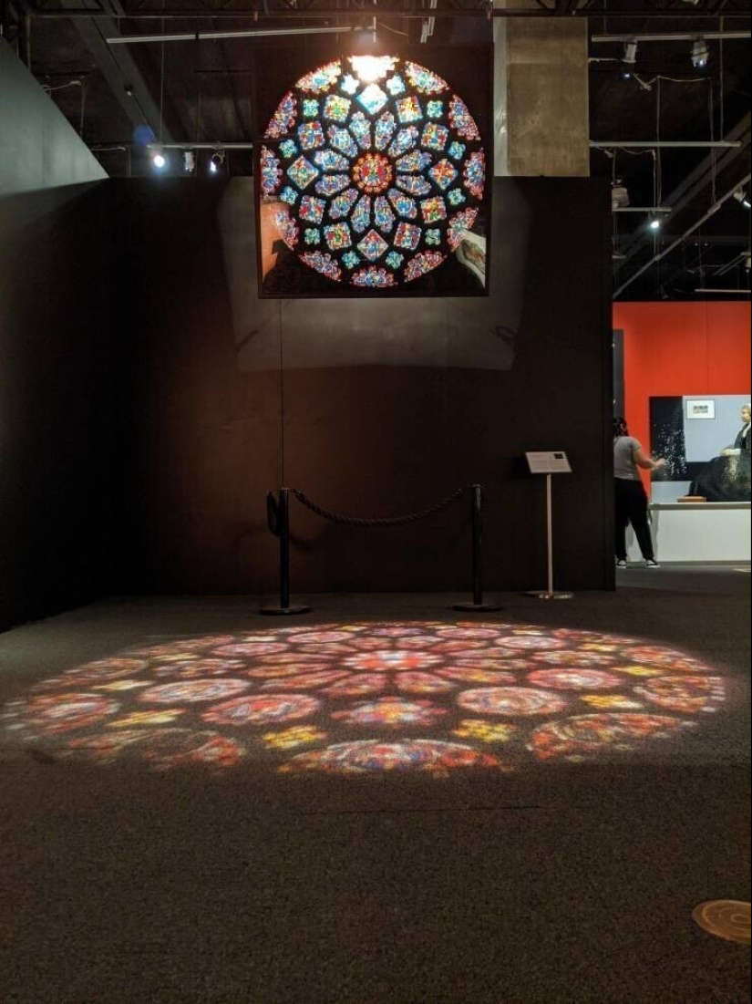 30 unusual and rare things that no one expected to see 30 unusual and rare things that no one expected to see