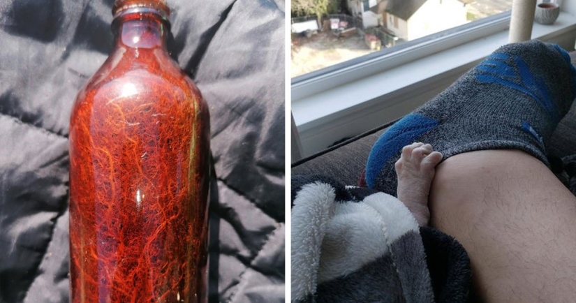 30 unusual photographs proving that the world is full of mysteries and amazing things 30 unusual photographs proving that the world is full of mysteries and amazing things