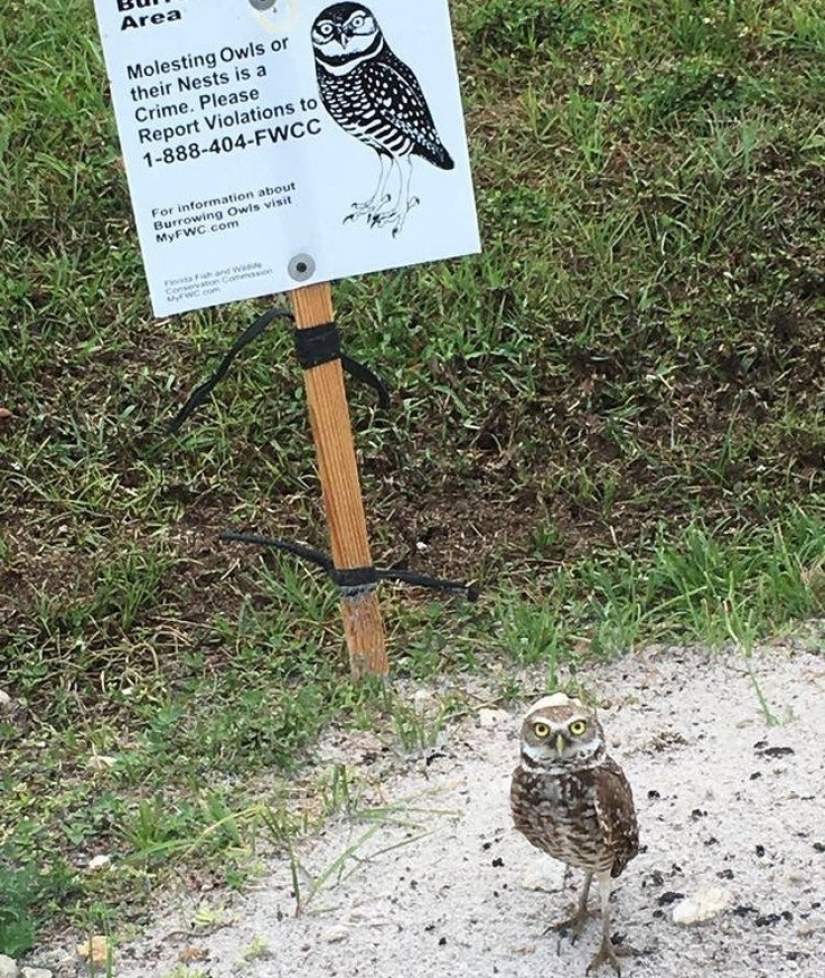 30 unusual photographs proving that the world is full of mysteries and amazing things 30 unusual photographs proving that the world is full of mysteries and amazing things