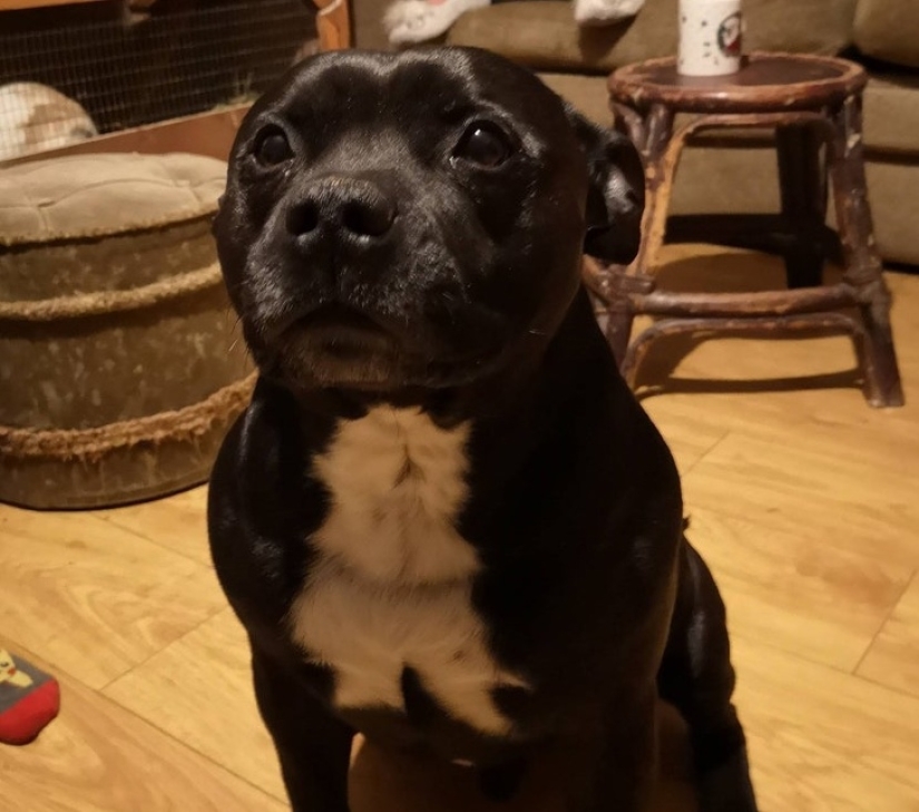 30 unusual photographs proving that the world is full of mysteries and amazing things 30 unusual photographs proving that the world is full of mysteries and amazing things