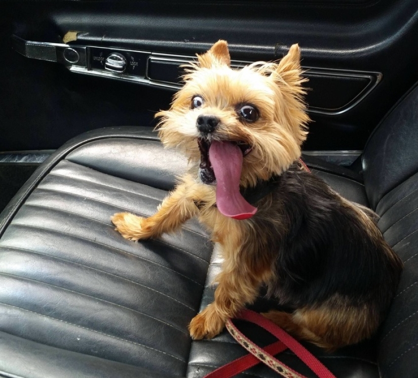 30 unusual photographs proving that the world is full of mysteries and amazing things 30 unusual photographs proving that the world is full of mysteries and amazing things