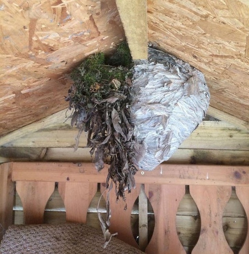 30 unusual photographs proving that the world is full of mysteries and amazing things 30 unusual photographs proving that the world is full of mysteries and amazing things