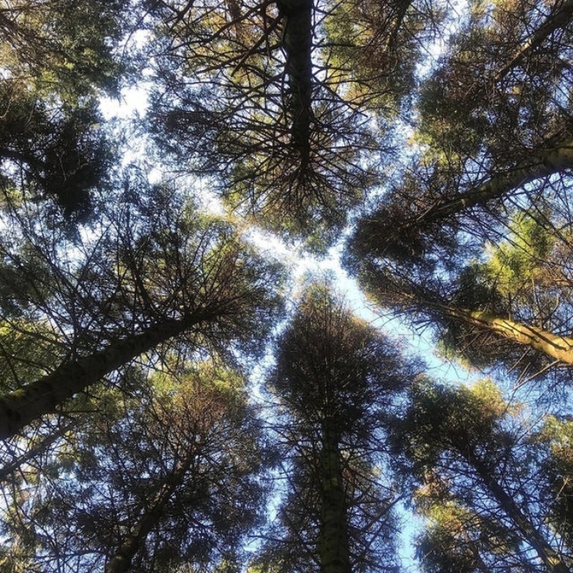 30 unusual photographs proving that the world is full of mysteries and amazing things 30 unusual photographs proving that the world is full of mysteries and amazing things