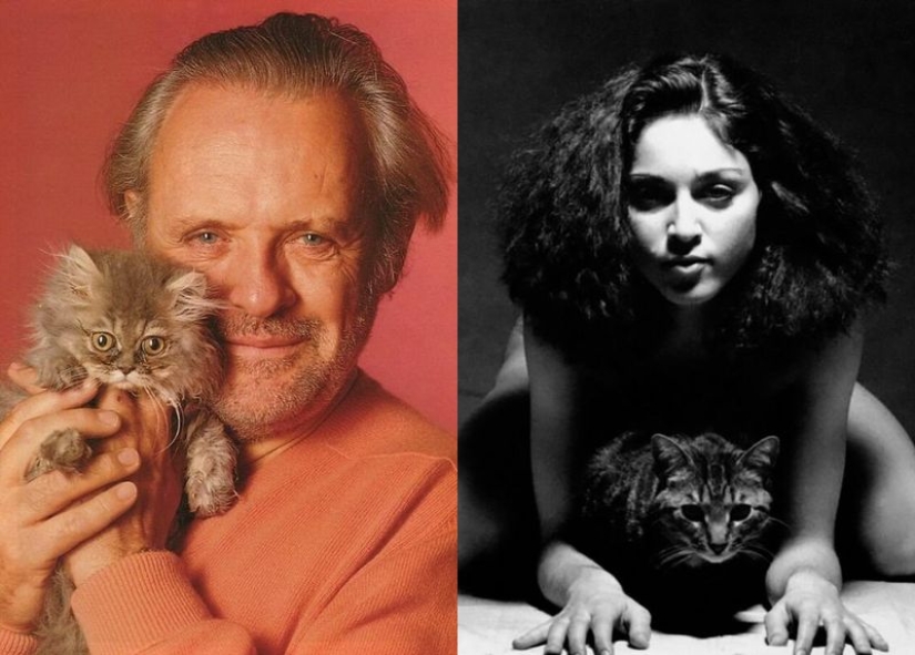 30 vintage photos of celebrities posing with their favorite cats 30 vintage photos of celebrities posing with their favorite cats