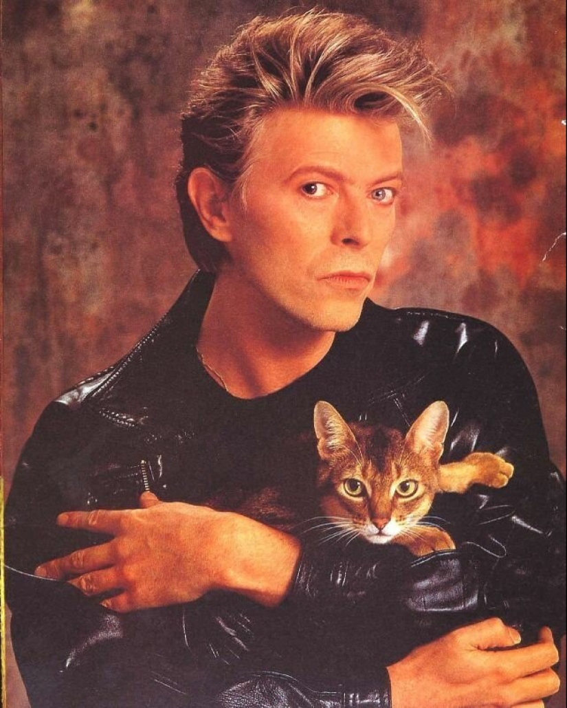 30 vintage photos of celebrities posing with their favorite cats 30 vintage photos of celebrities posing with their favorite cats