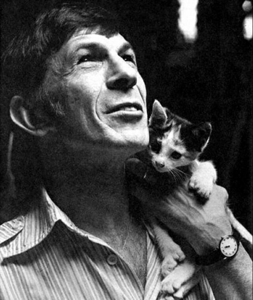 30 vintage photos of celebrities posing with their favorite cats 30 vintage photos of celebrities posing with their favorite cats