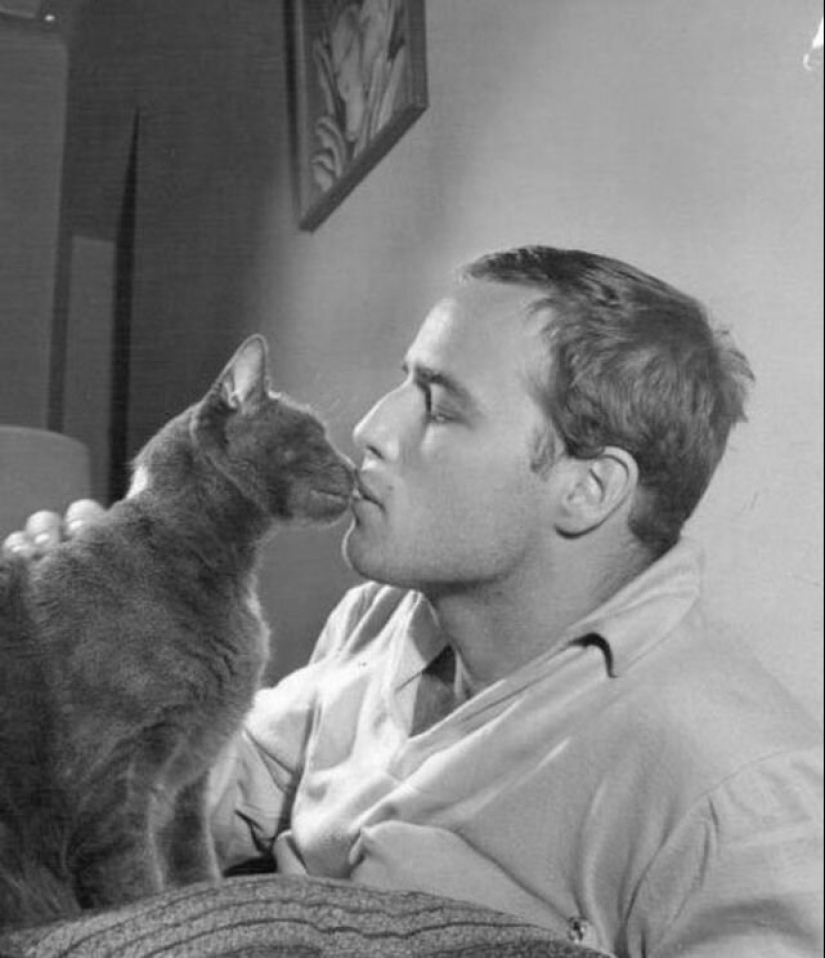 30 vintage photos of celebrities posing with their favorite cats 30 vintage photos of celebrities posing with their favorite cats