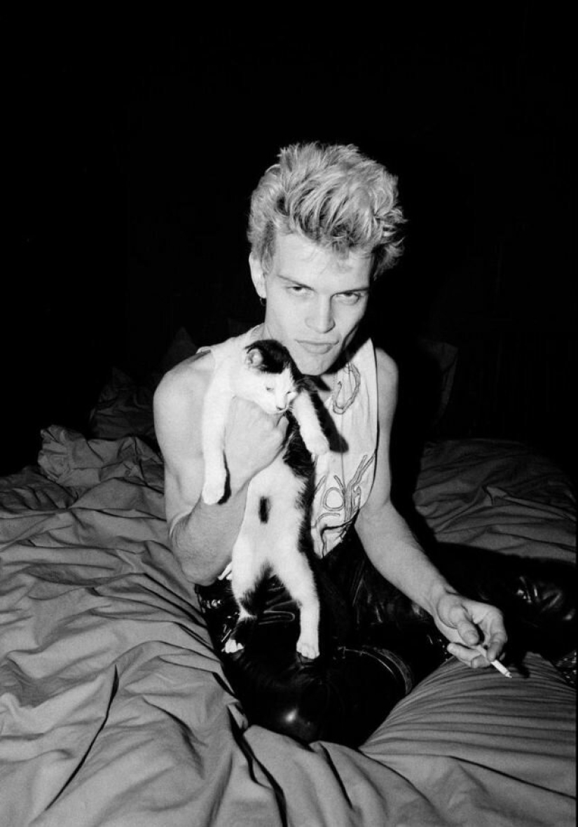 30 vintage photos of celebrities posing with their favorite cats 30 vintage photos of celebrities posing with their favorite cats
