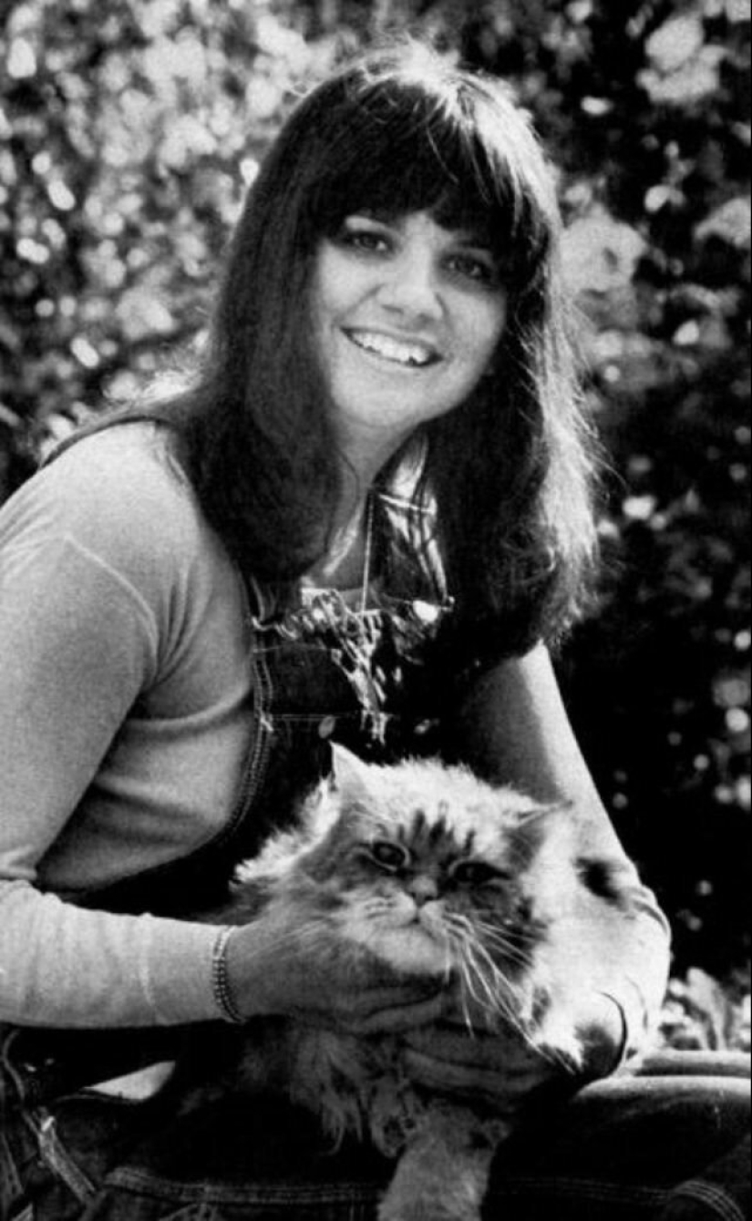 30 vintage photos of celebrities posing with their favorite cats 30 vintage photos of celebrities posing with their favorite cats