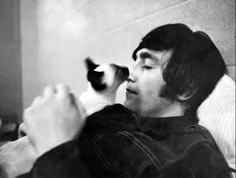 30 vintage photos of celebrities posing with their favorite cats 30 vintage photos of celebrities posing with their favorite cats
