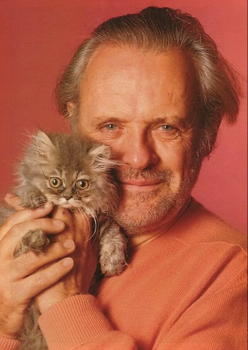 30 vintage photos of celebrities posing with their favorite cats 30 vintage photos of celebrities posing with their favorite cats
