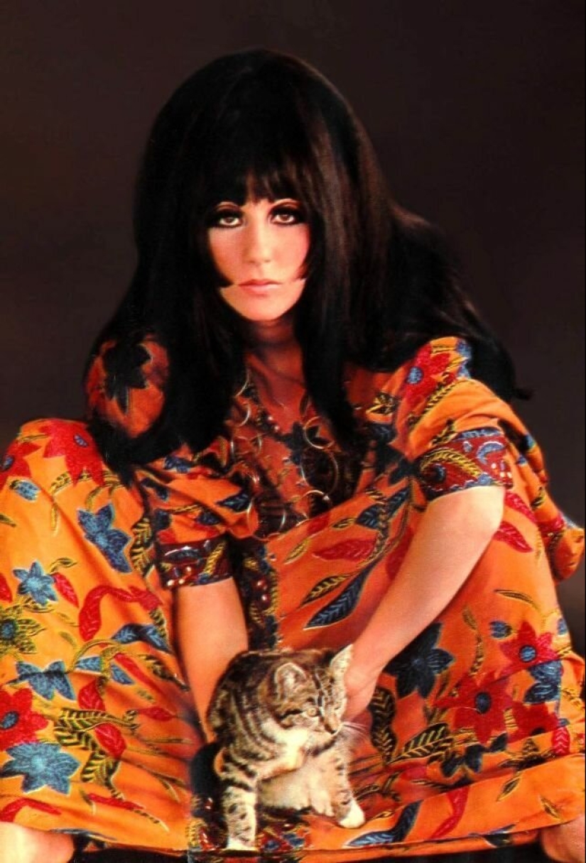 30 vintage photos of celebrities posing with their favorite cats 30 vintage photos of celebrities posing with their favorite cats
