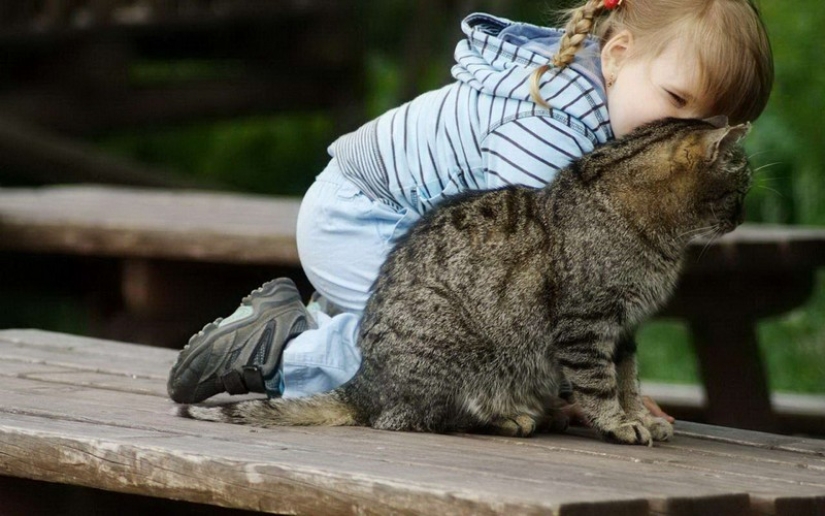 30 ways to use cats in the household