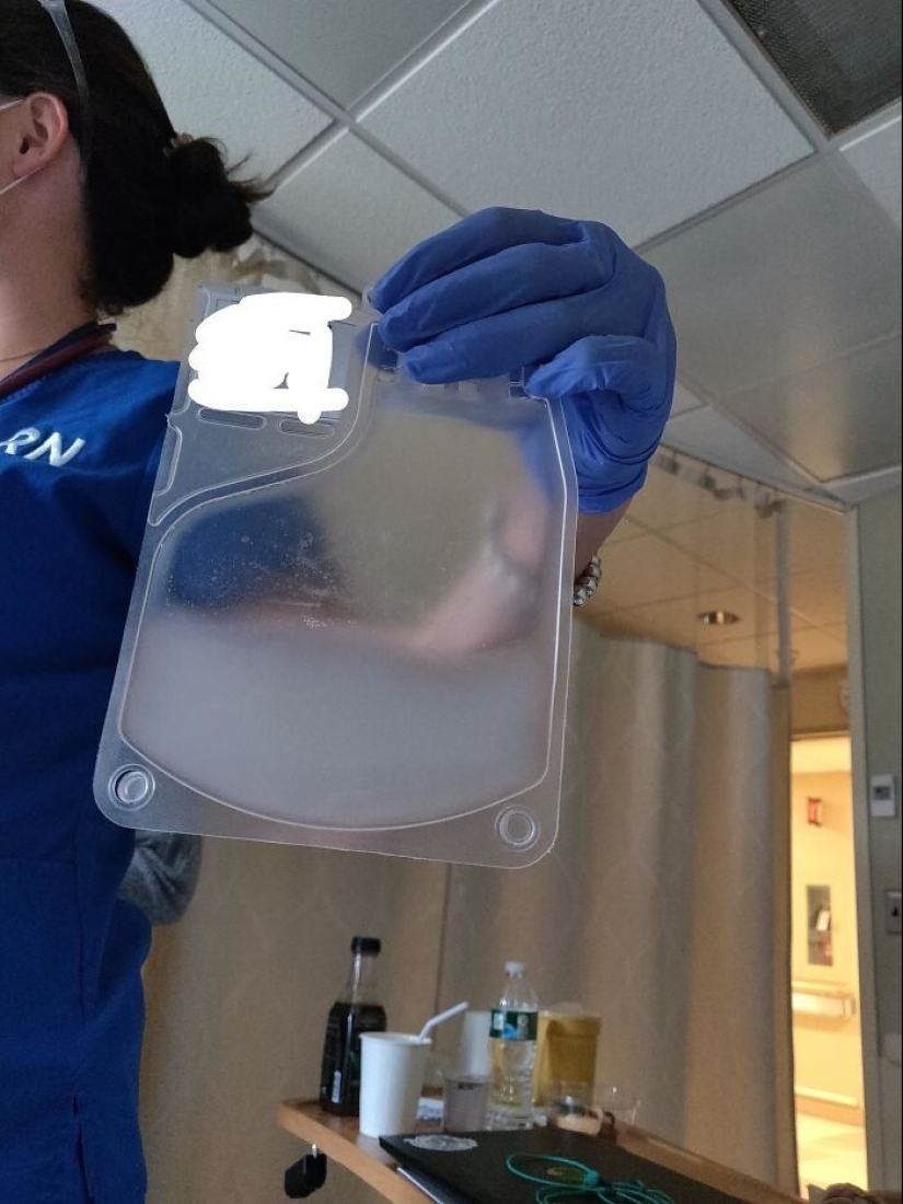 33 cosas raras y sorprendentes que vale la pena ver al menos en la foto