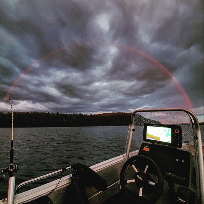 33 cosas raras y sorprendentes que vale la pena ver al menos en la foto