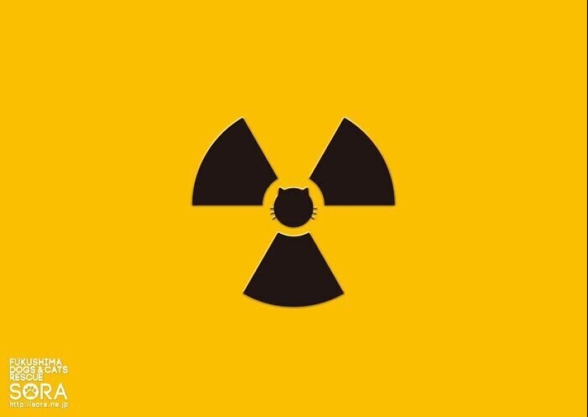 33 ejemplos de los anuncios de gatos más creativos y divertidos