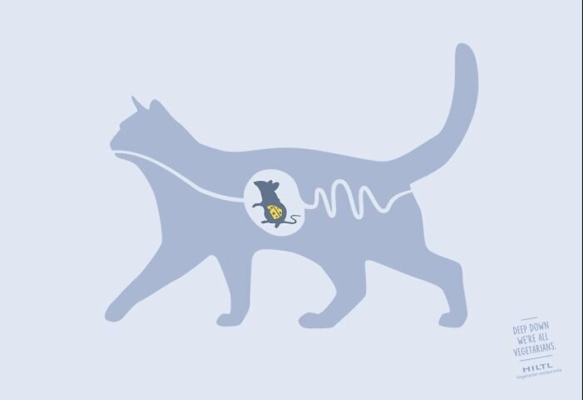 33 examples of the most creative and funny cat ads