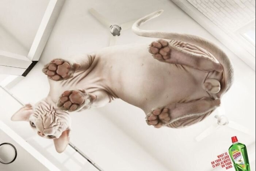 33 examples of the most creative and funny cat ads
