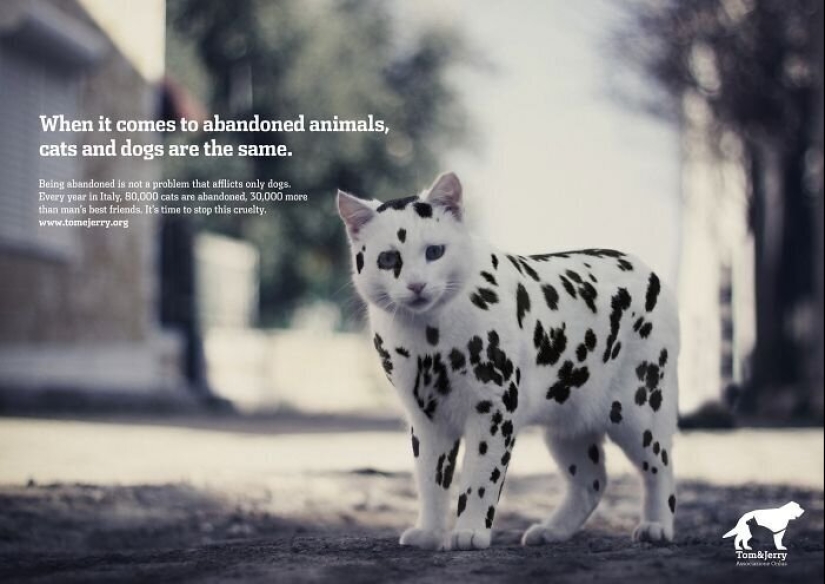 33 examples of the most creative and funny cat ads
