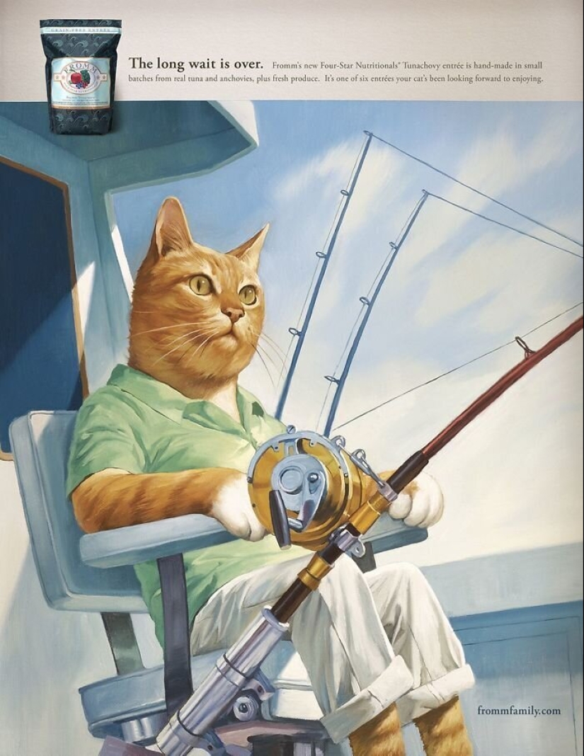 33 examples of the most creative and funny cat ads