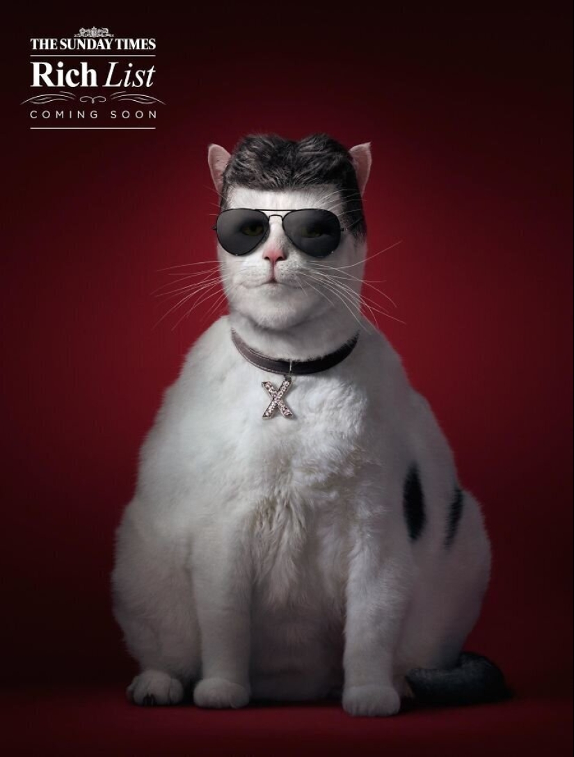 33 examples of the most creative and funny cat ads